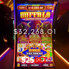 Descubra o Mundo do Cassino Online com 525bet